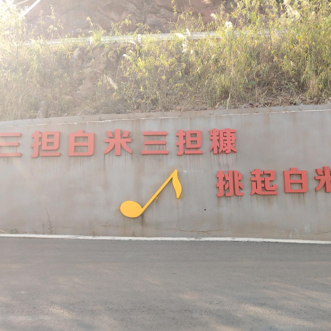 野哥