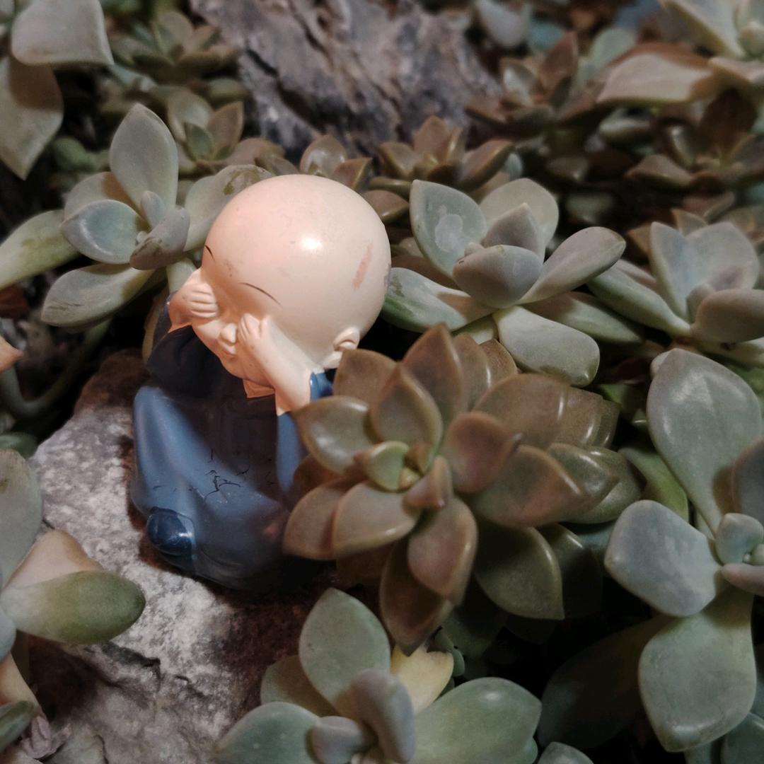 拼搏