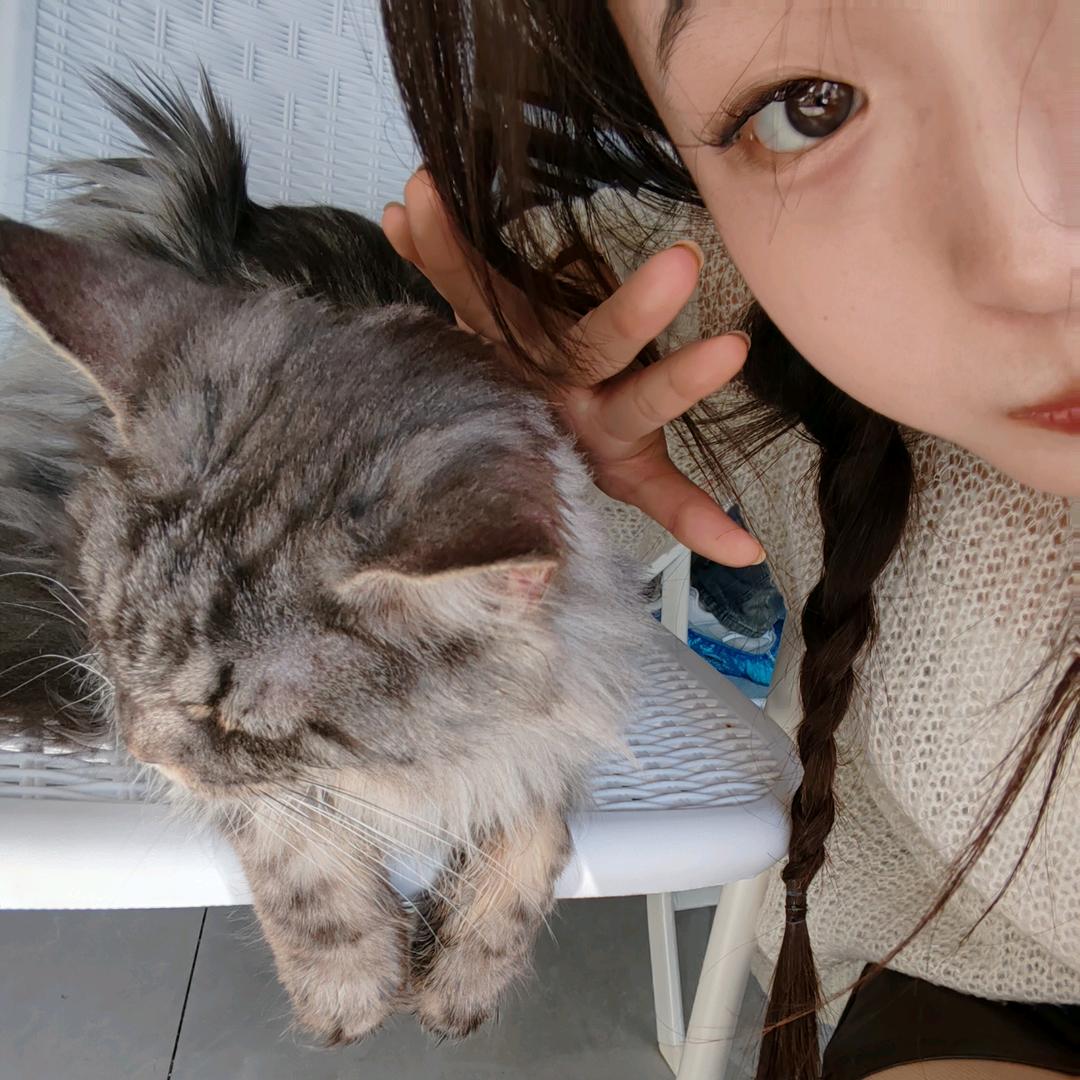 不失眠小羊🐑