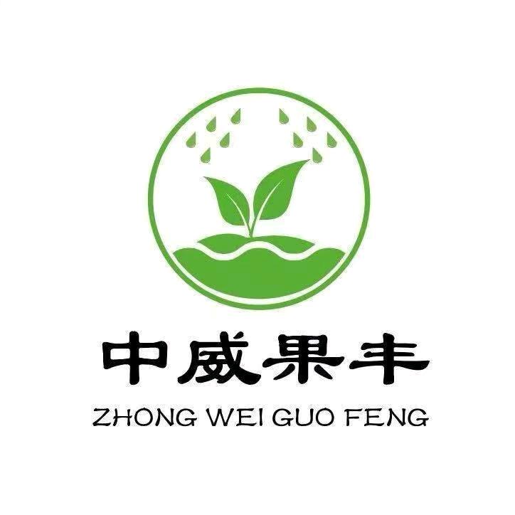 中威果丰晓晓