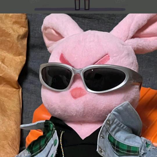 伯乐的生活优港