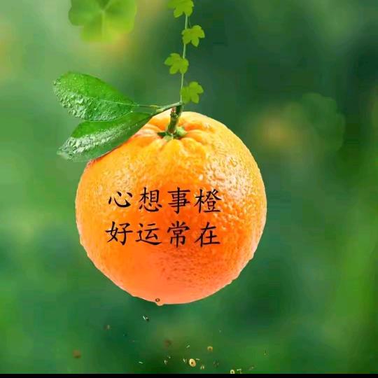 阅己 悦己 越己