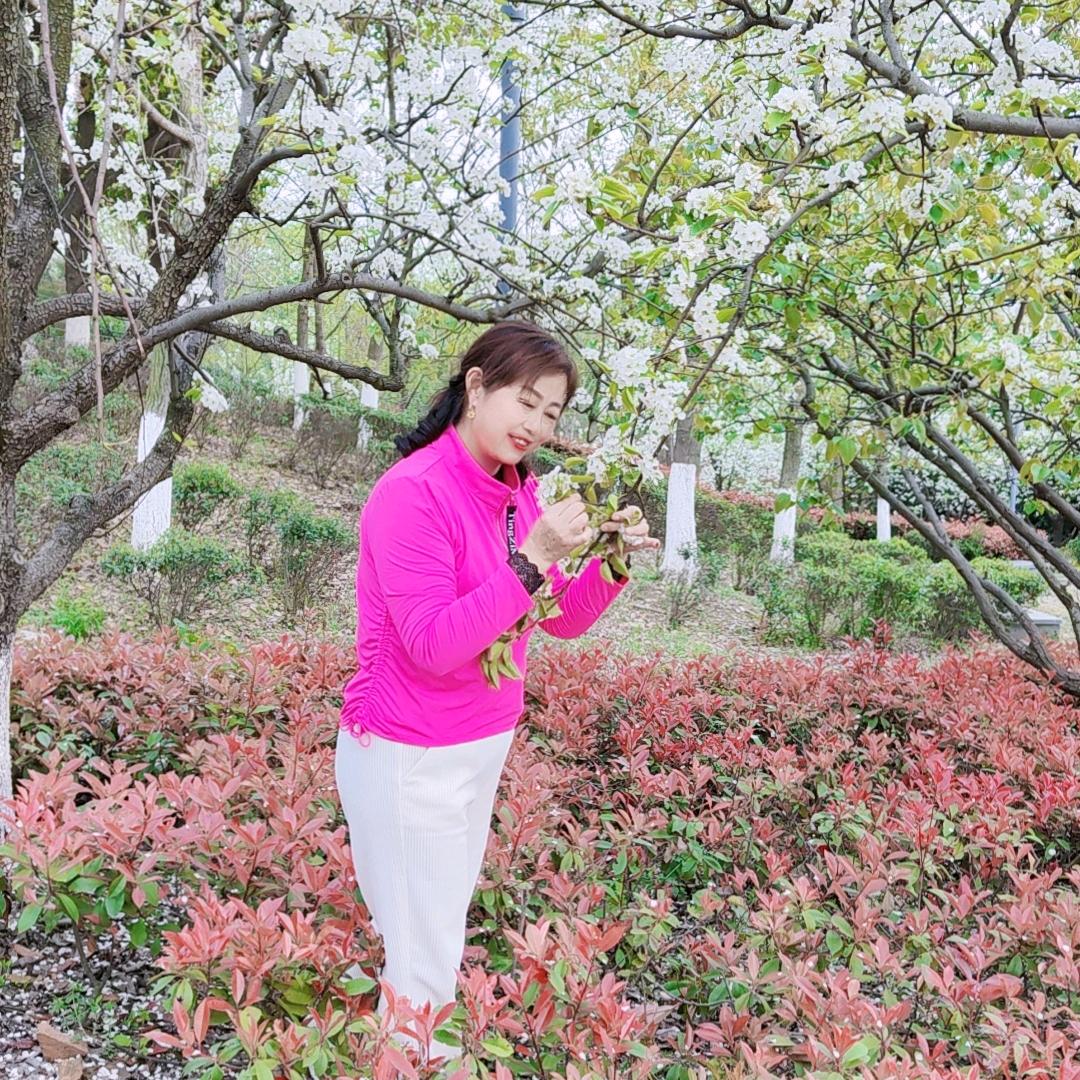 随遇而安(好物分享)