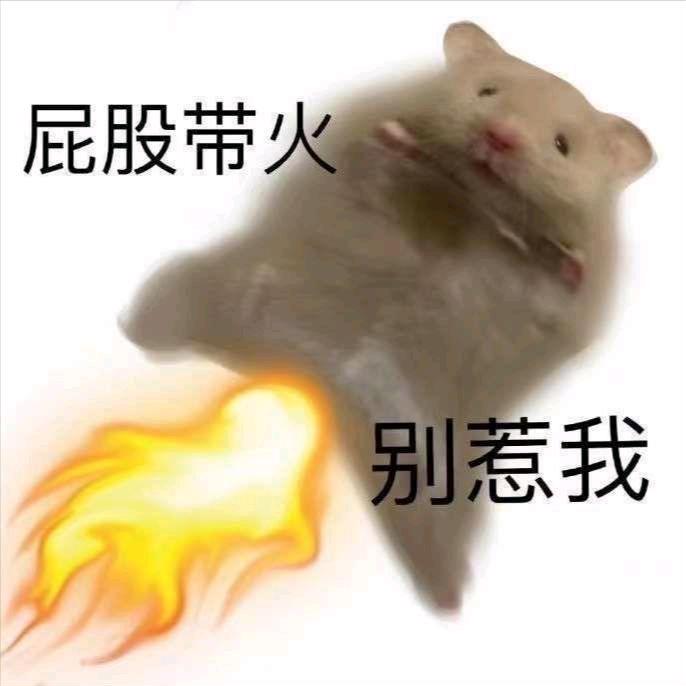 本宫偏要以下犯上