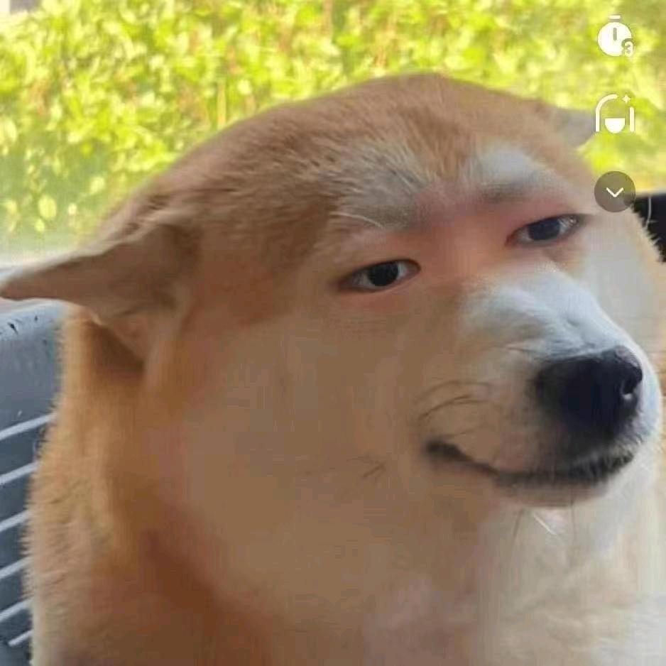 大狗
