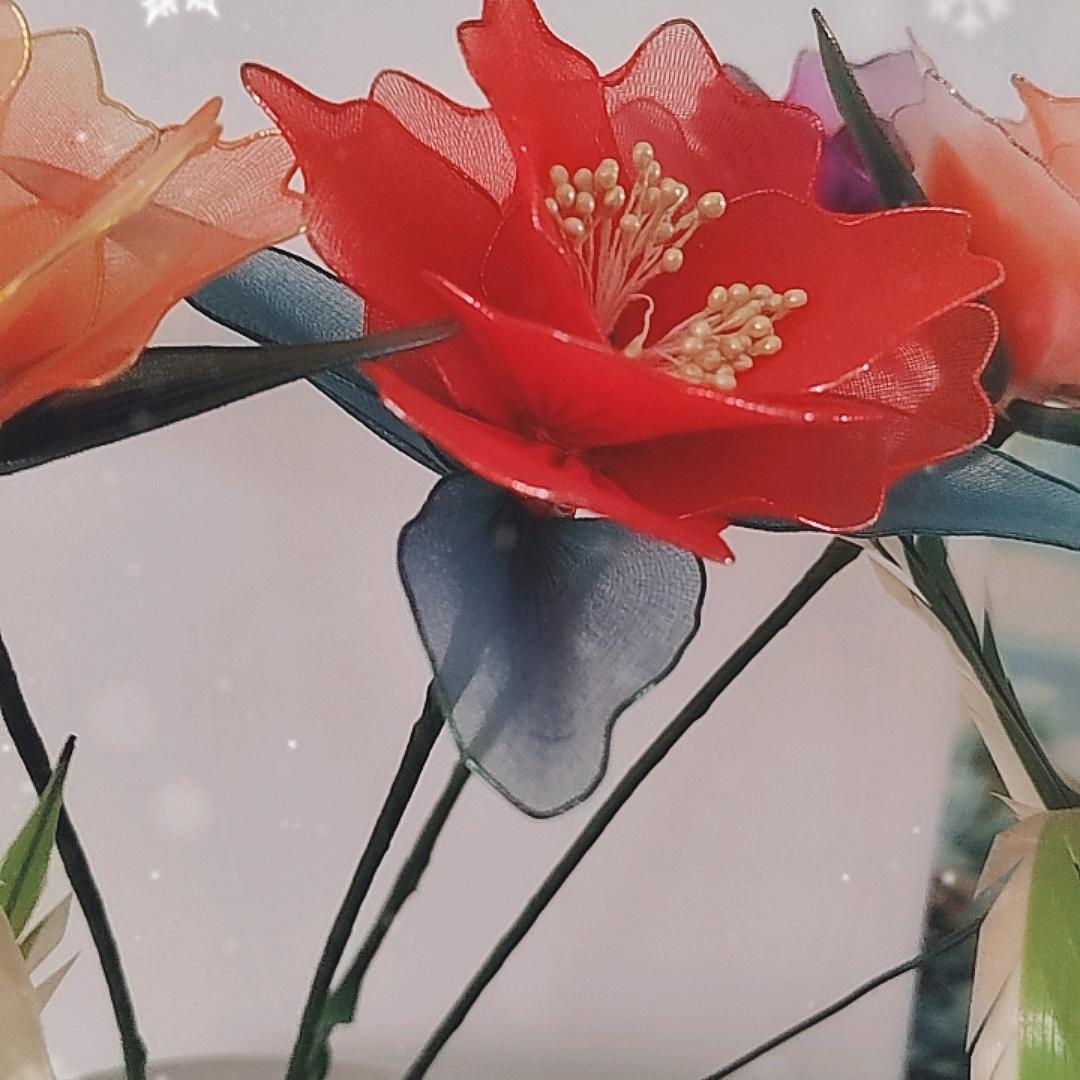 用户8707510886886