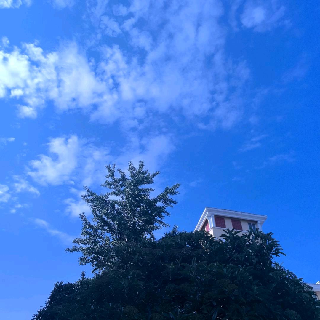 @-飞哥