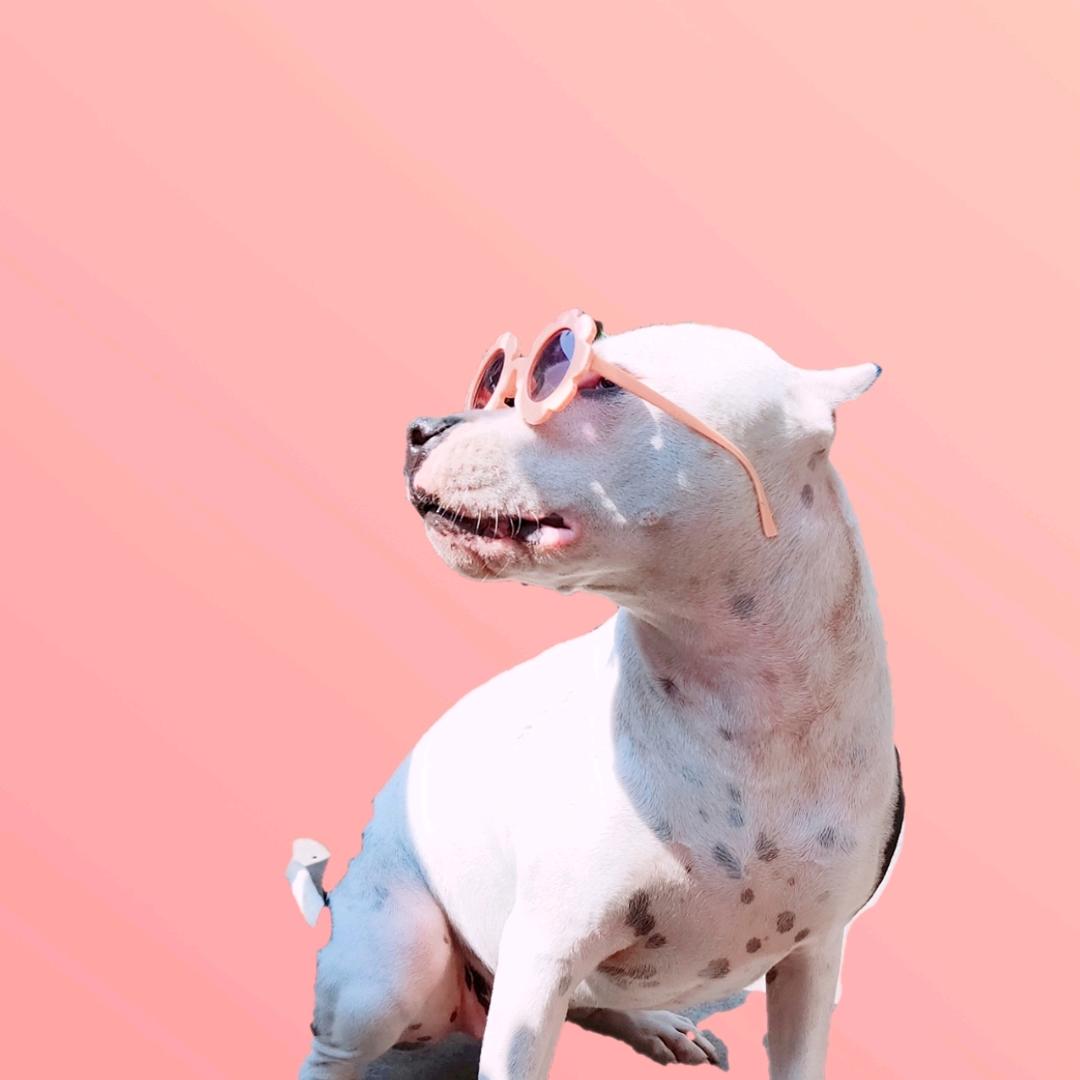 阿媛🎀
