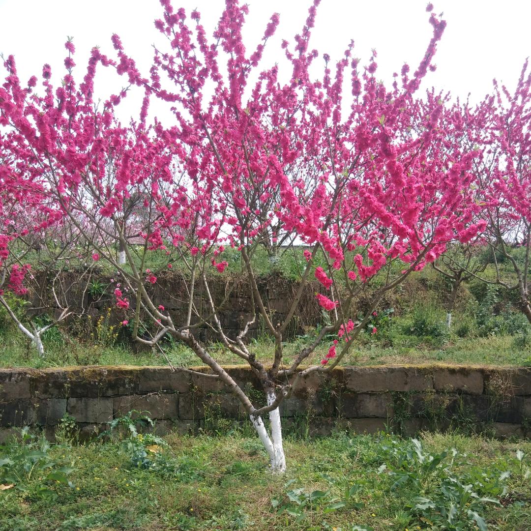 幸福路上请勿私聊。