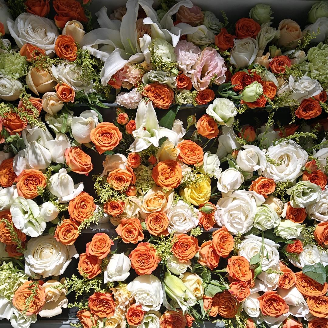 一直很安静（芳）