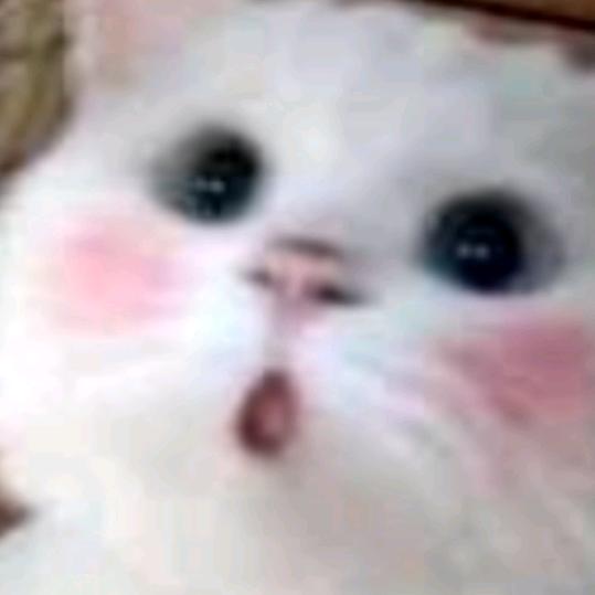 开心果,
