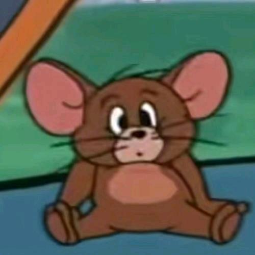 翔子球(微鲤鱼炮炮)