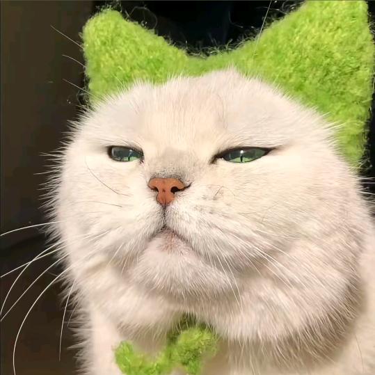 00后小张养老日记