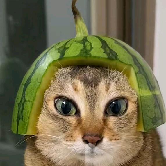 开心每一天