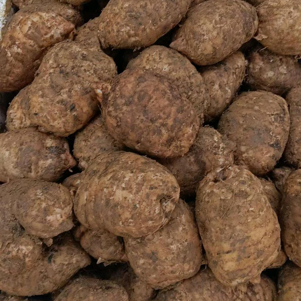 缘，佛，滇，单亲妈妈