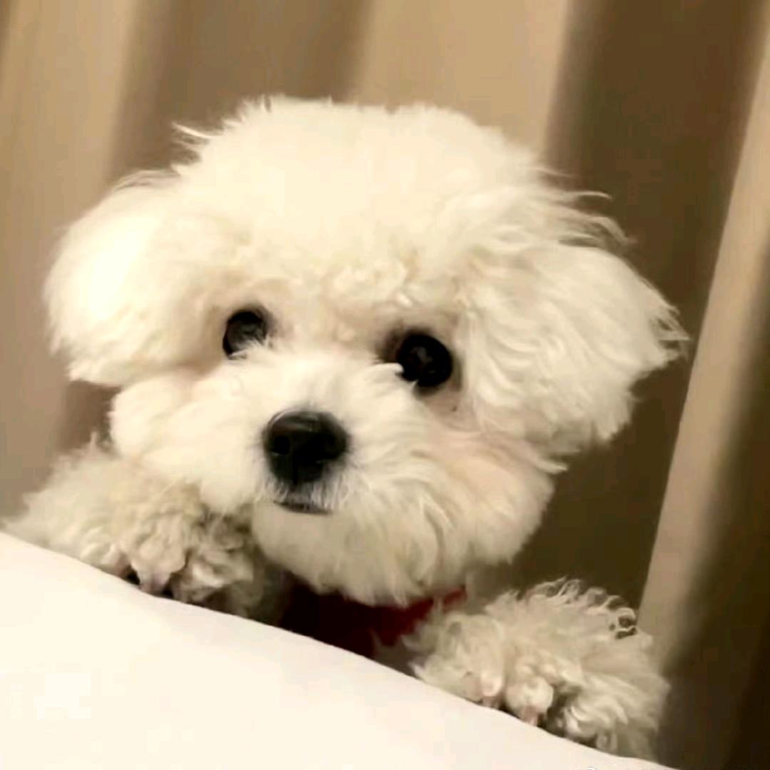 白亿7