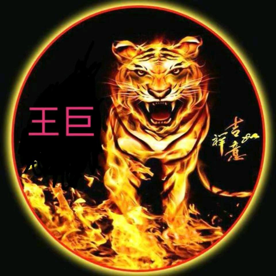 巨森木业