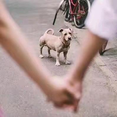 长方形的李子