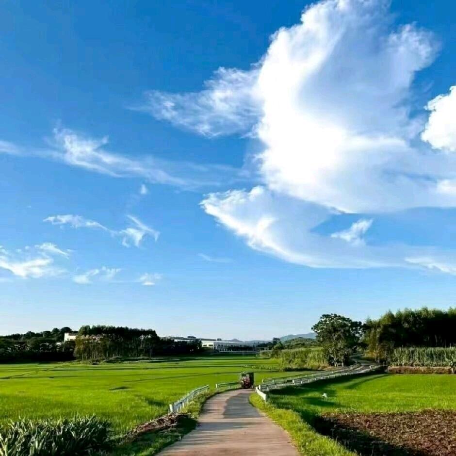 艳儿