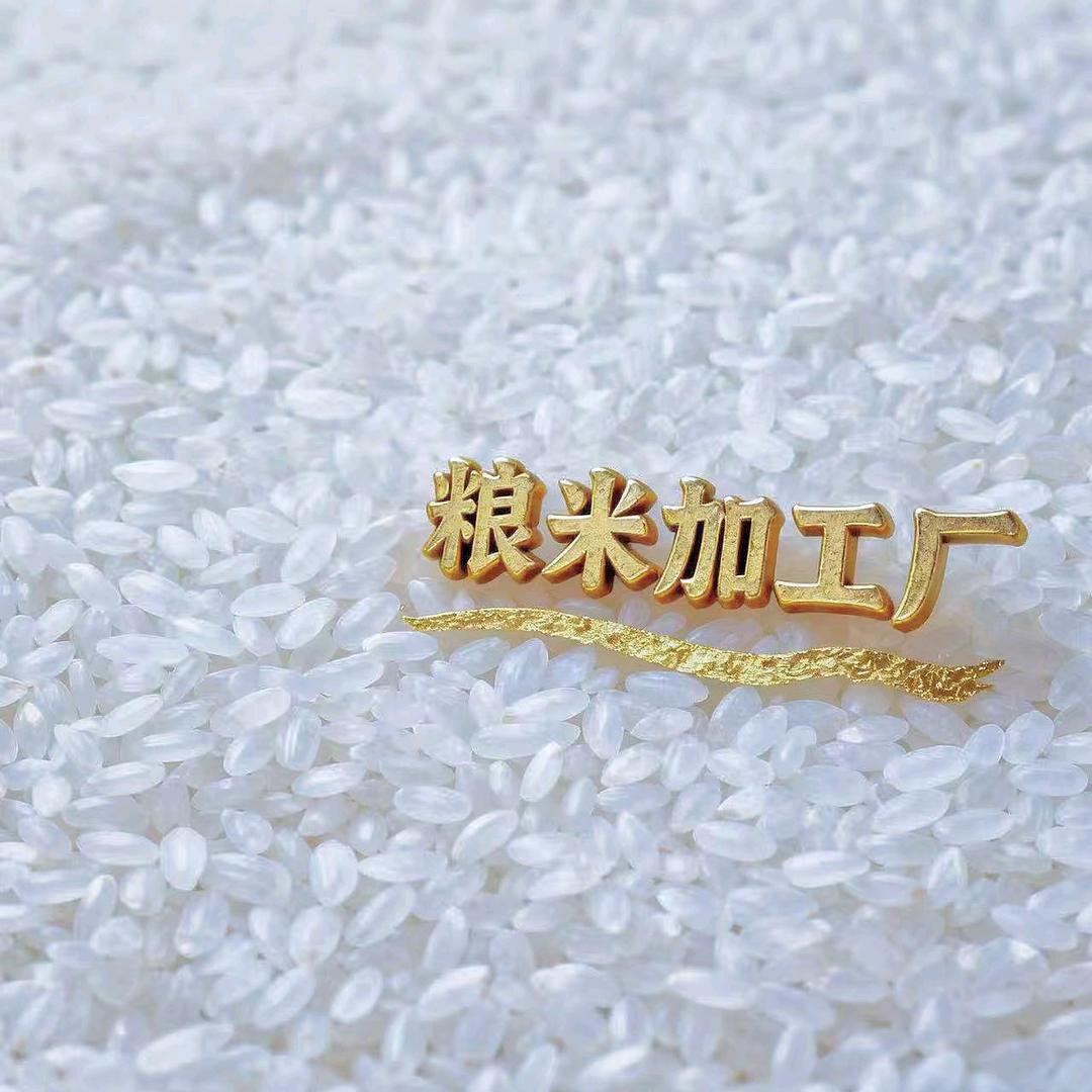 雨风~粮米加工
