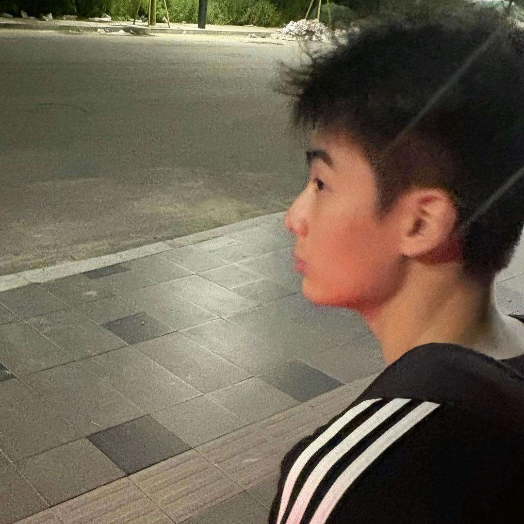 无双剑翅OvO