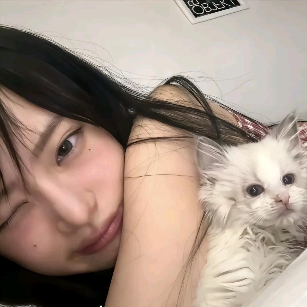gui零.
