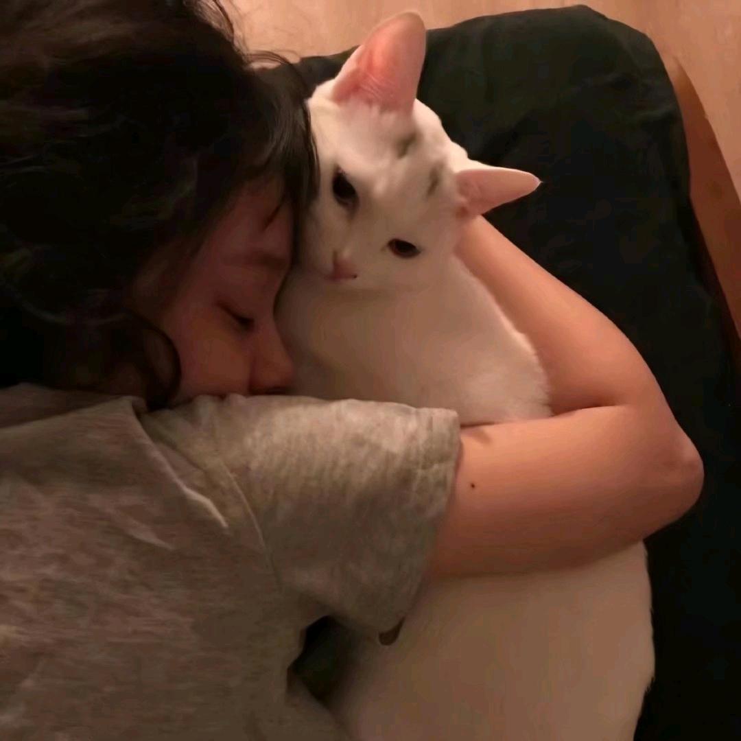 小鲤.