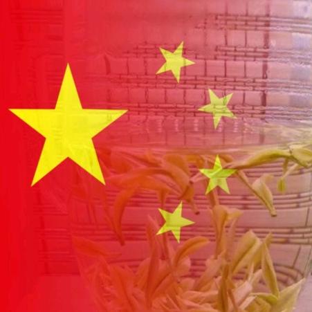 🇻🇳东哥🇻🇳