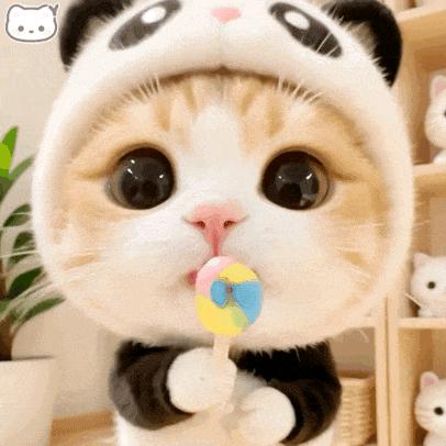 河南小钟
