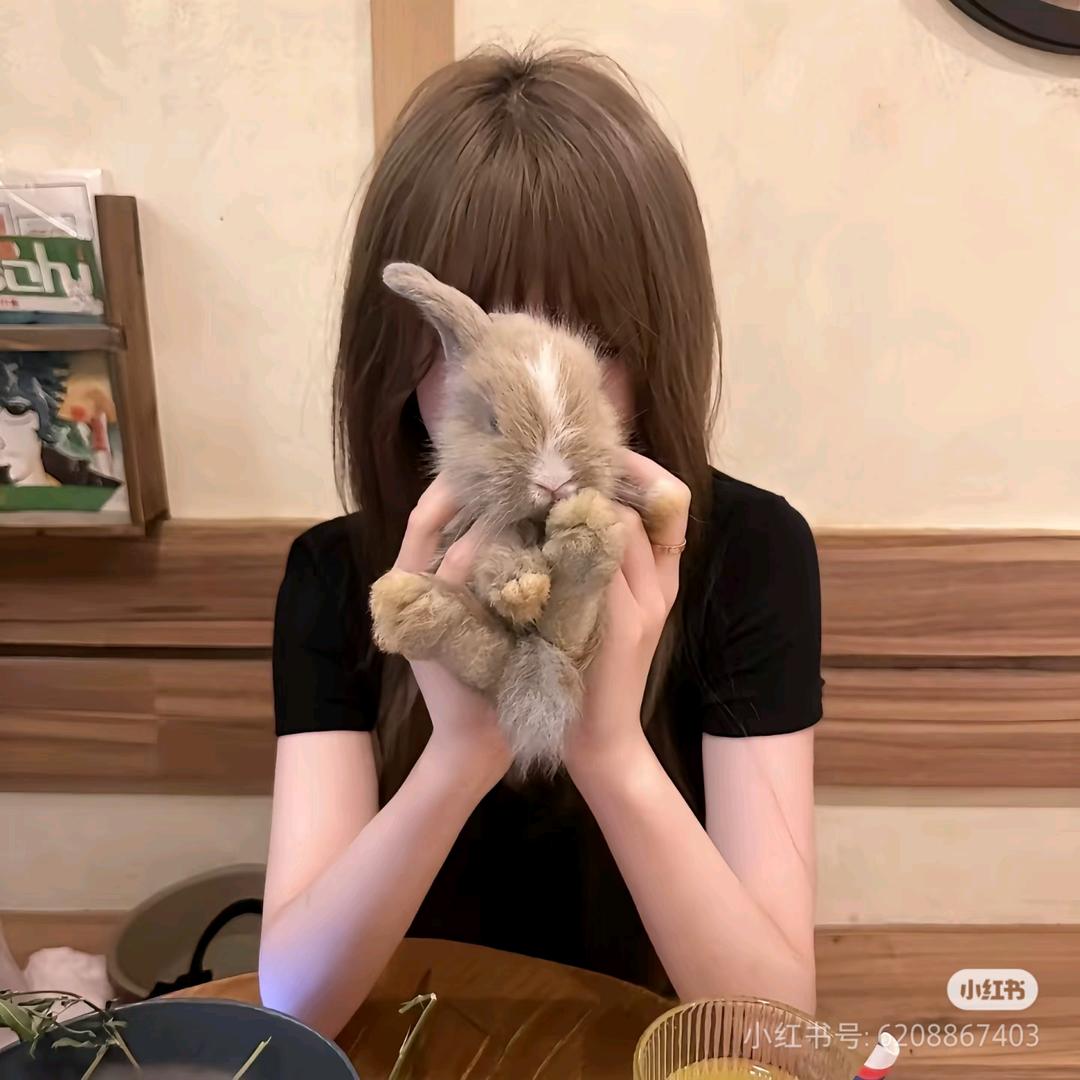 狂吸路过的每只小猫