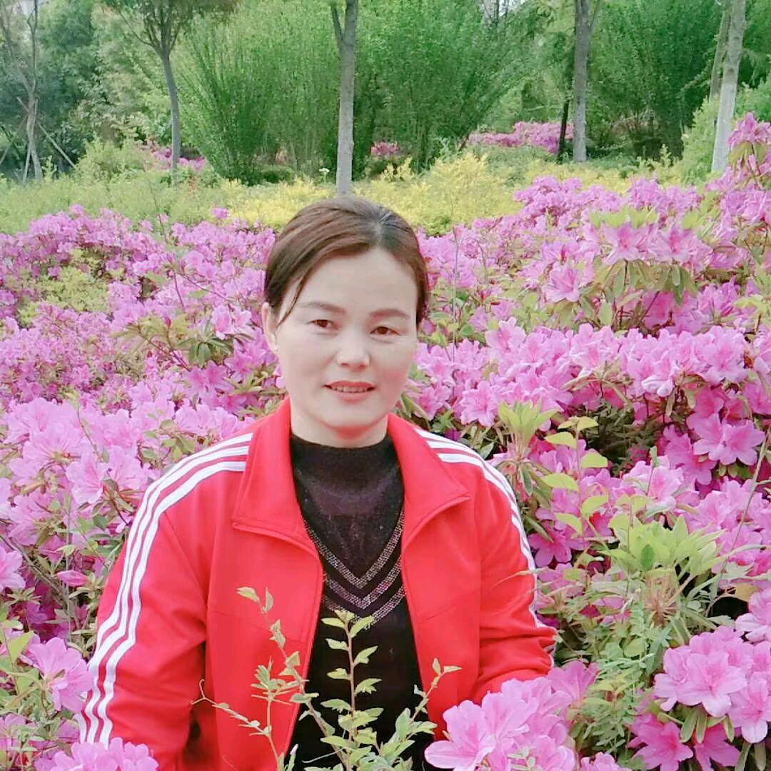亮晶晶好物