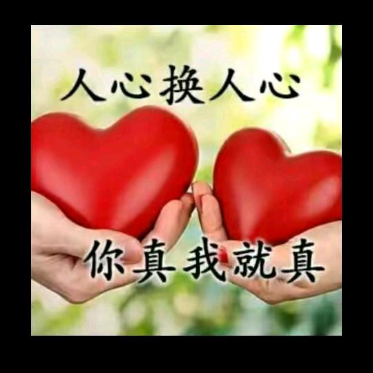 真心换不来真心