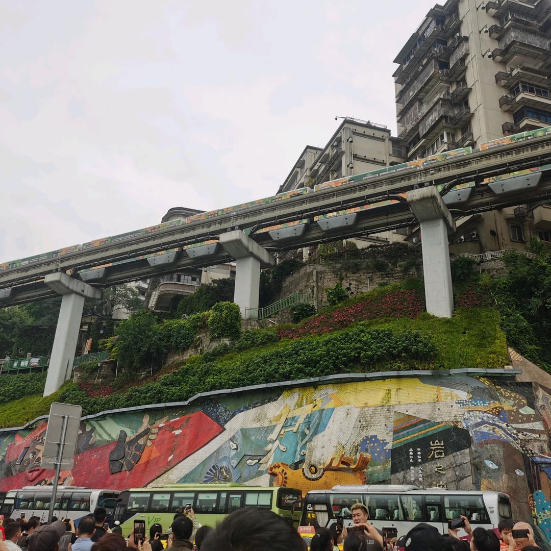不刷只看
