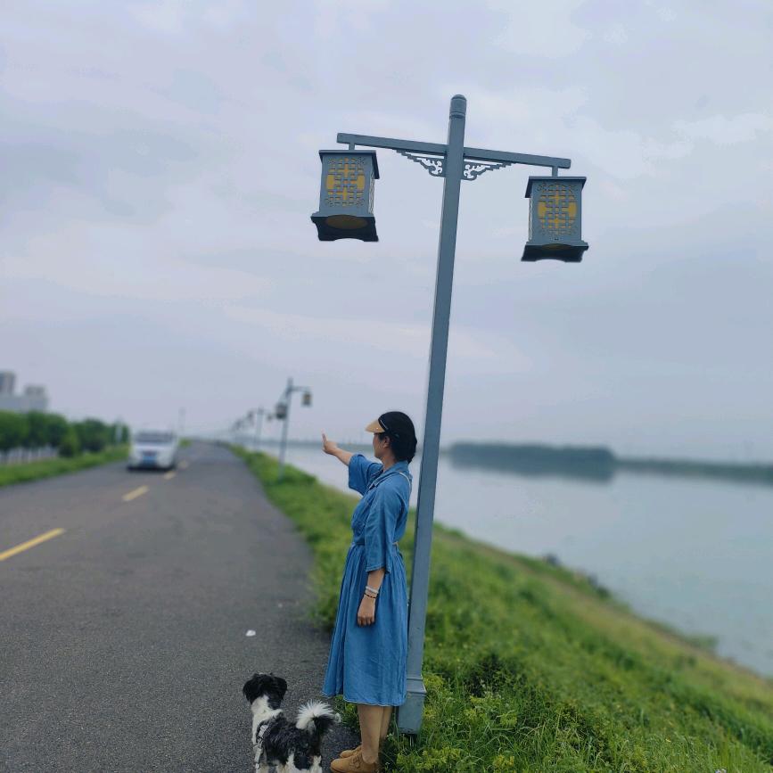 阳阳努力