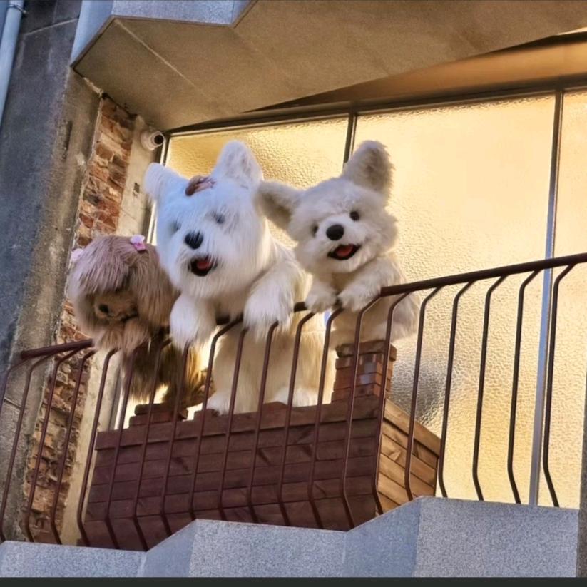 多情烤冷面.