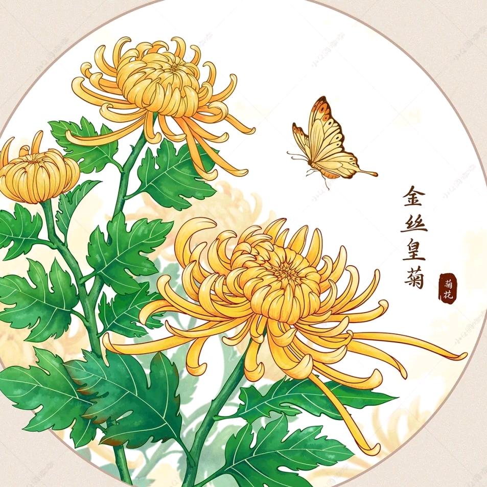 彩柳柳