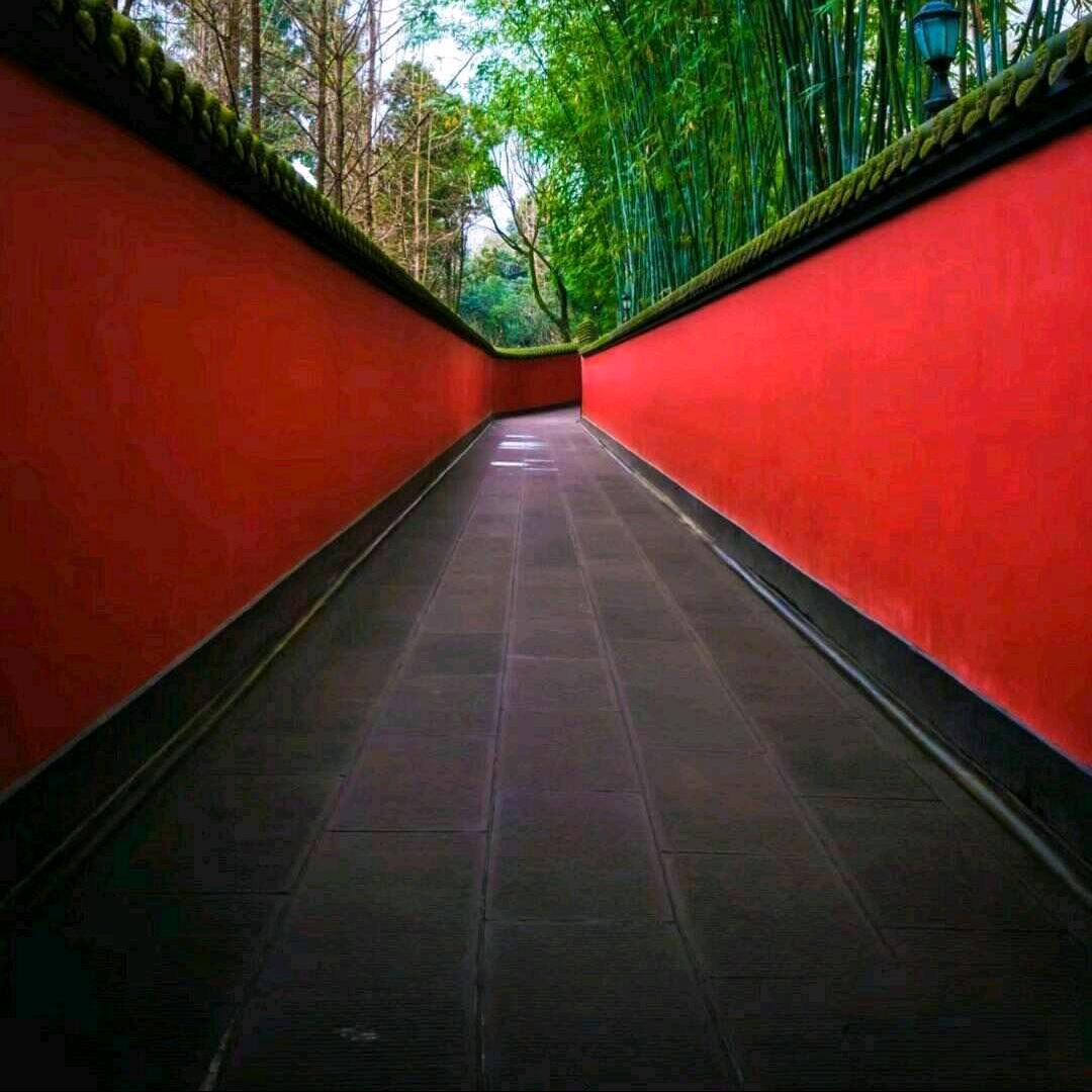 冯义义
