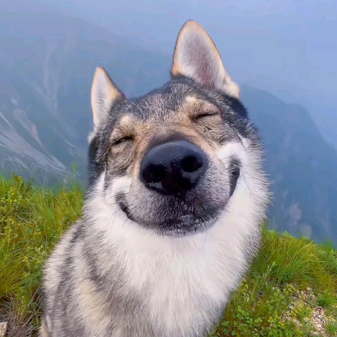 对对对