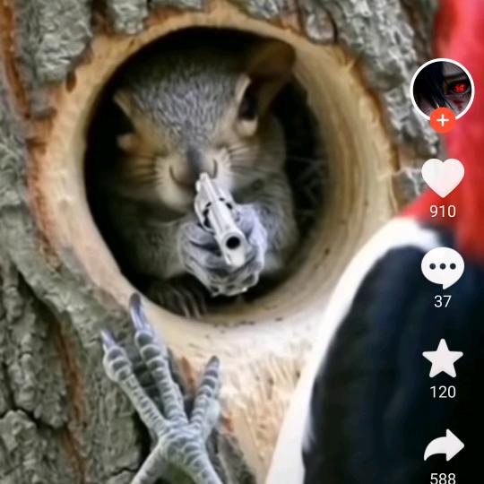 三沙（椰王金）