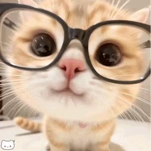 我的二藤宏嵩在哪儿呢