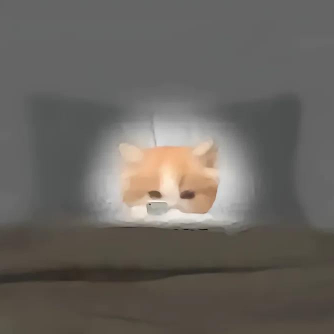 眷顾dyj