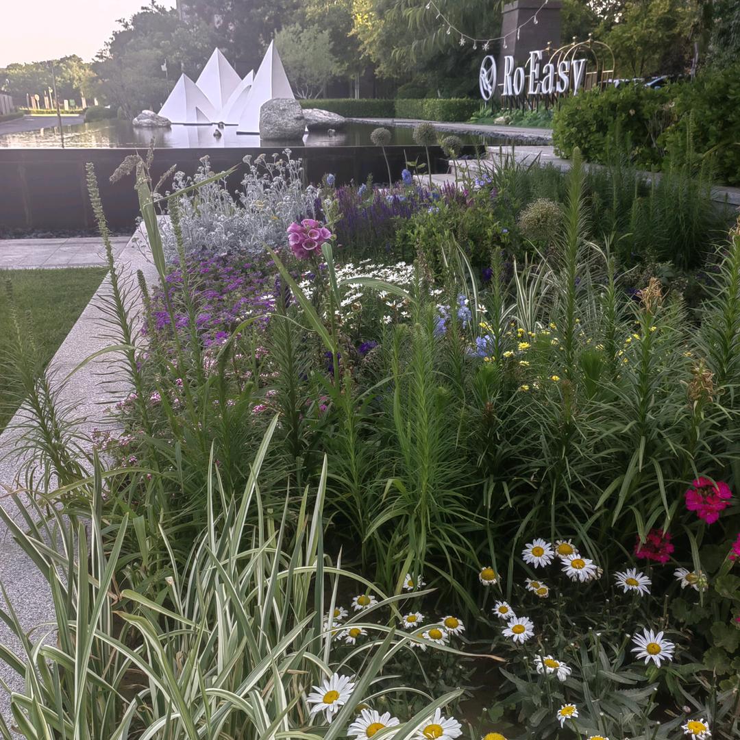 🤑滴滴答答🤑