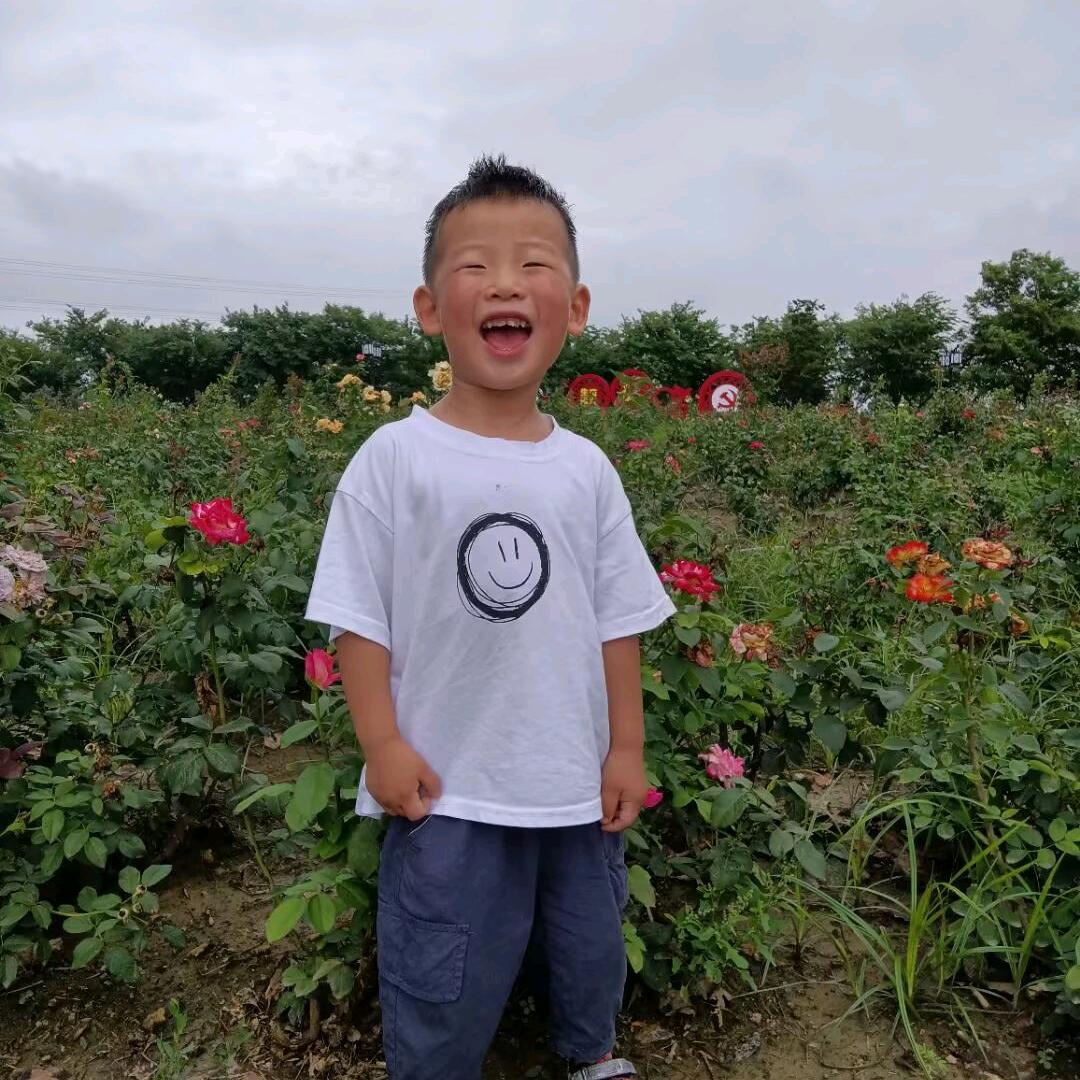 刘萍