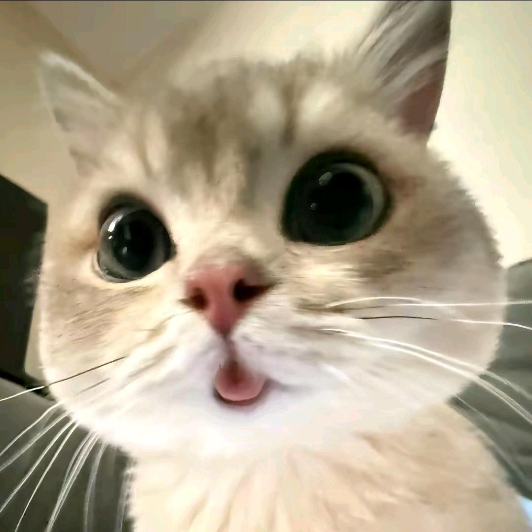 Yaya