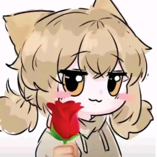 哈基咪