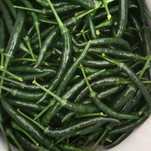 🕊꧔ꦿ᭄💞牛马杨💞꧔ꦿ᭄