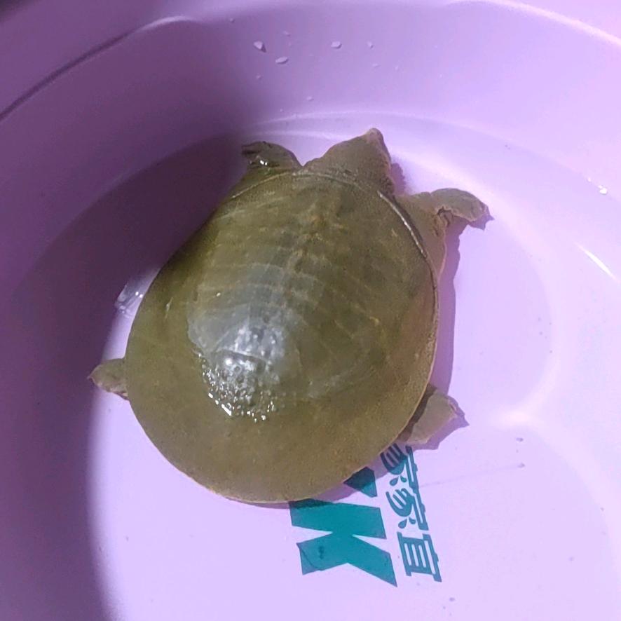 好歌一首