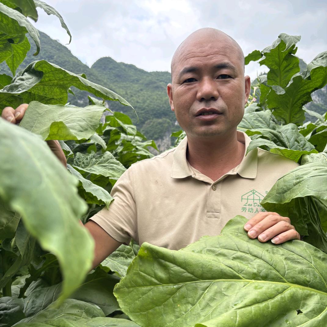 光头旺哥说农(齐朵朵大红甲)