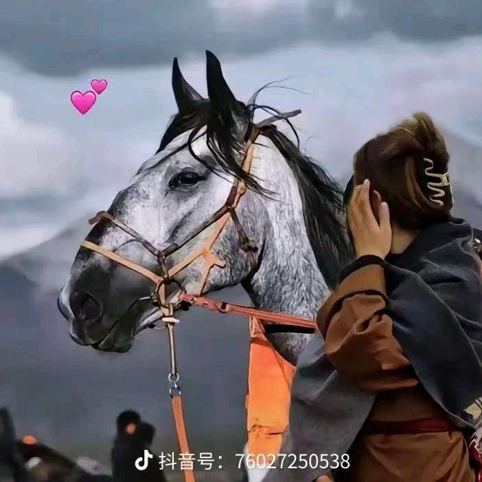 德吉卓玛抚恤