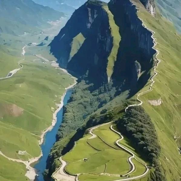 半夜起来嚼槟榔嚼完发现是蟑螂